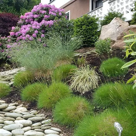 Bed & Breakfast Happy Mosel 4*