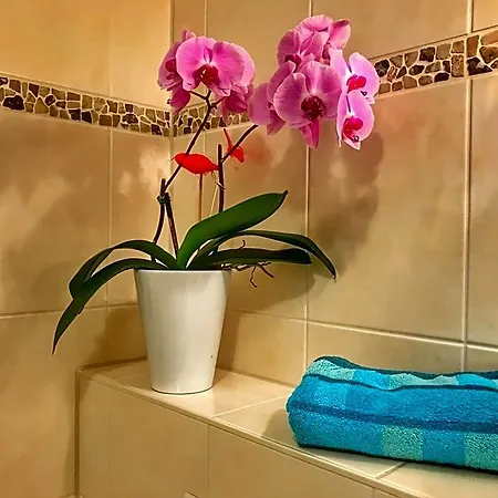 B&B Happy Mosel 4*