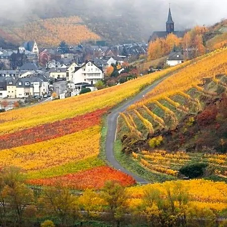 B&B Happy Mosel 코헴