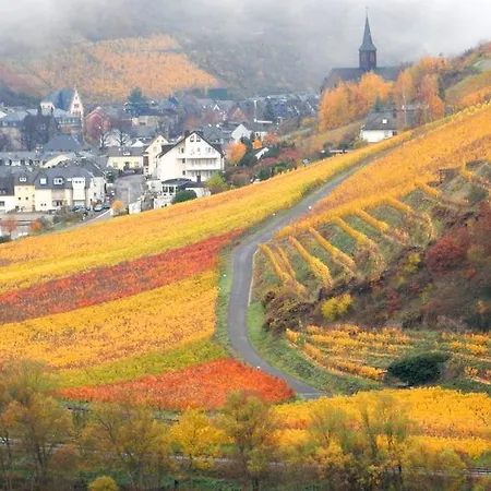Happy Mosel Bed & Breakfast 4*