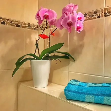 Happy Mosel Отель типа 