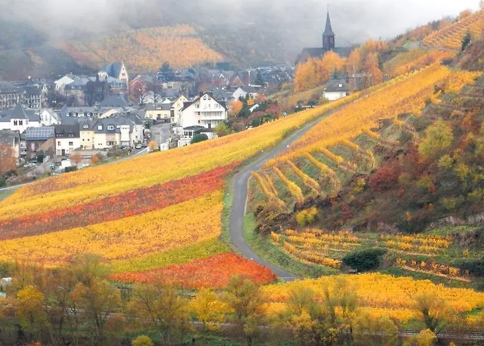 Happy Mosel Nocleg ze śniadaniem 4*