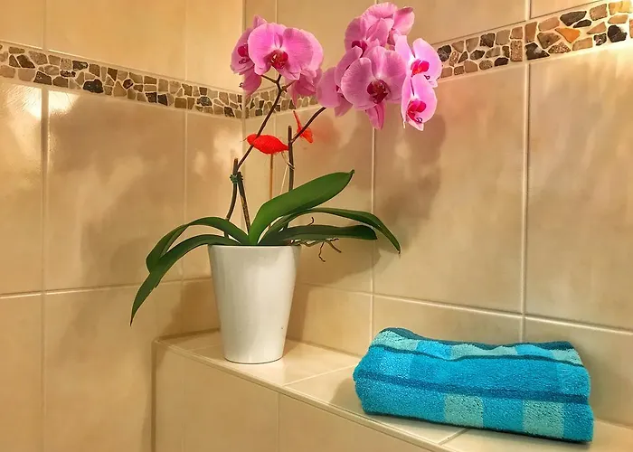 Happy Mosel Bed & Breakfast